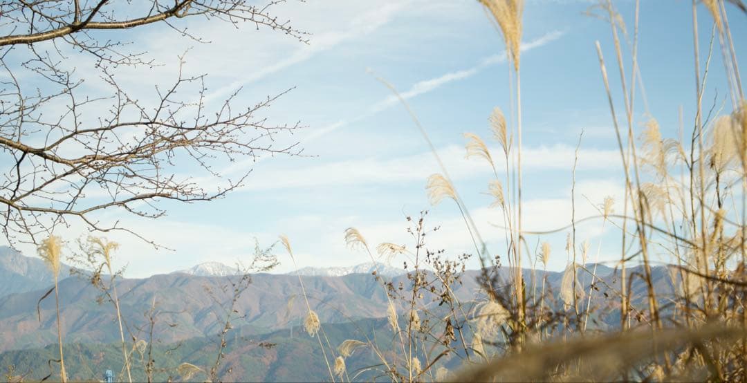 Fujifilm X-T50 ミラーレスカメラ 15-45mmレンズ付き