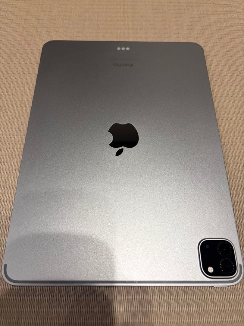 iPadPro11インチ第4世代256GB