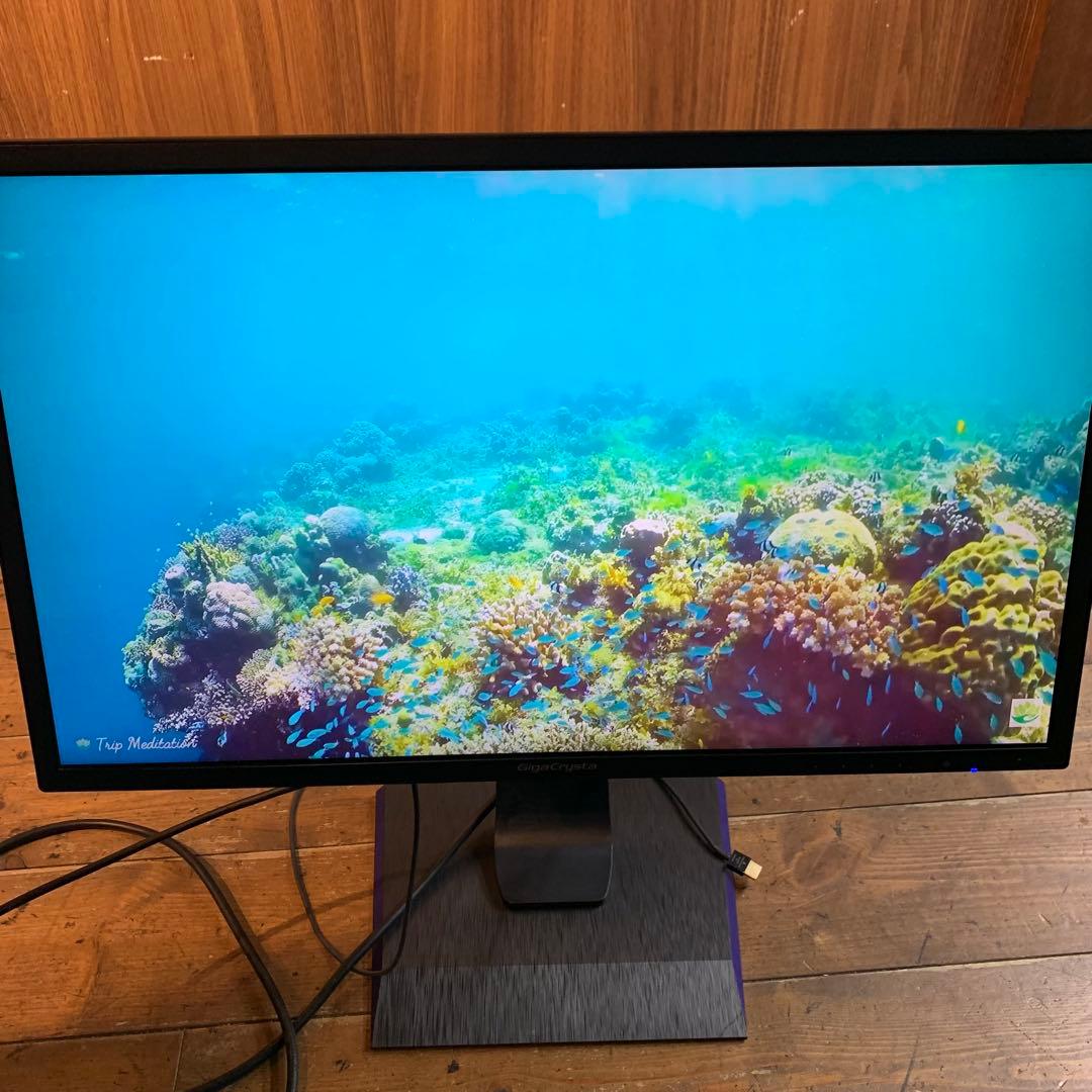 IODATA GigaCrysta EX-LDGC242HTB 23.6インチ