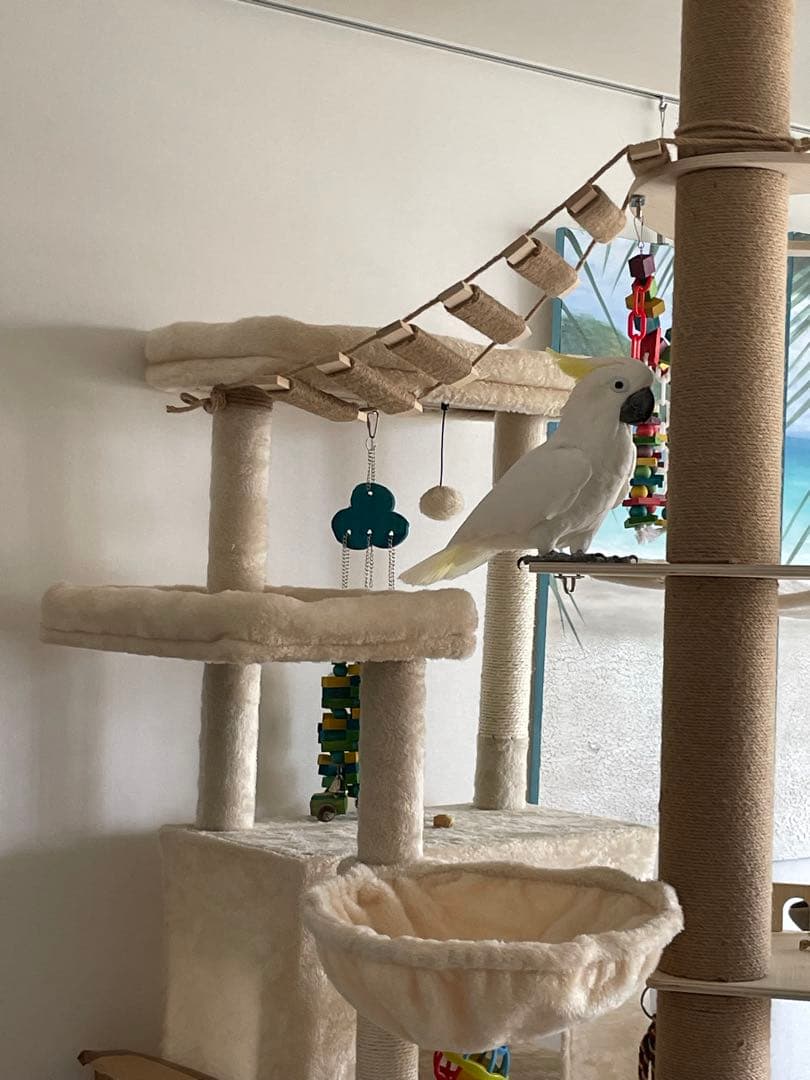 mooバードツリー バードジム バードアスレチック キャットタワー