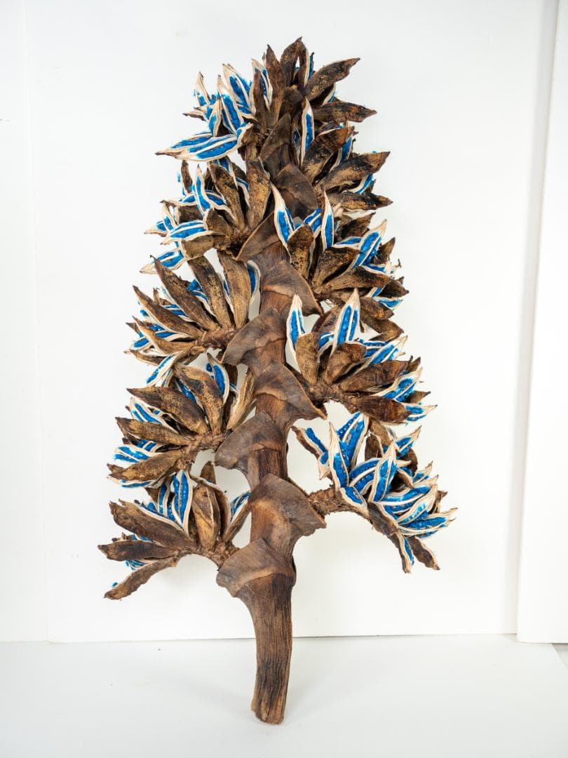 タビビトノキ 青い種 丸ごと 訳あり 6 旅人の木 オオギバショウ 種子