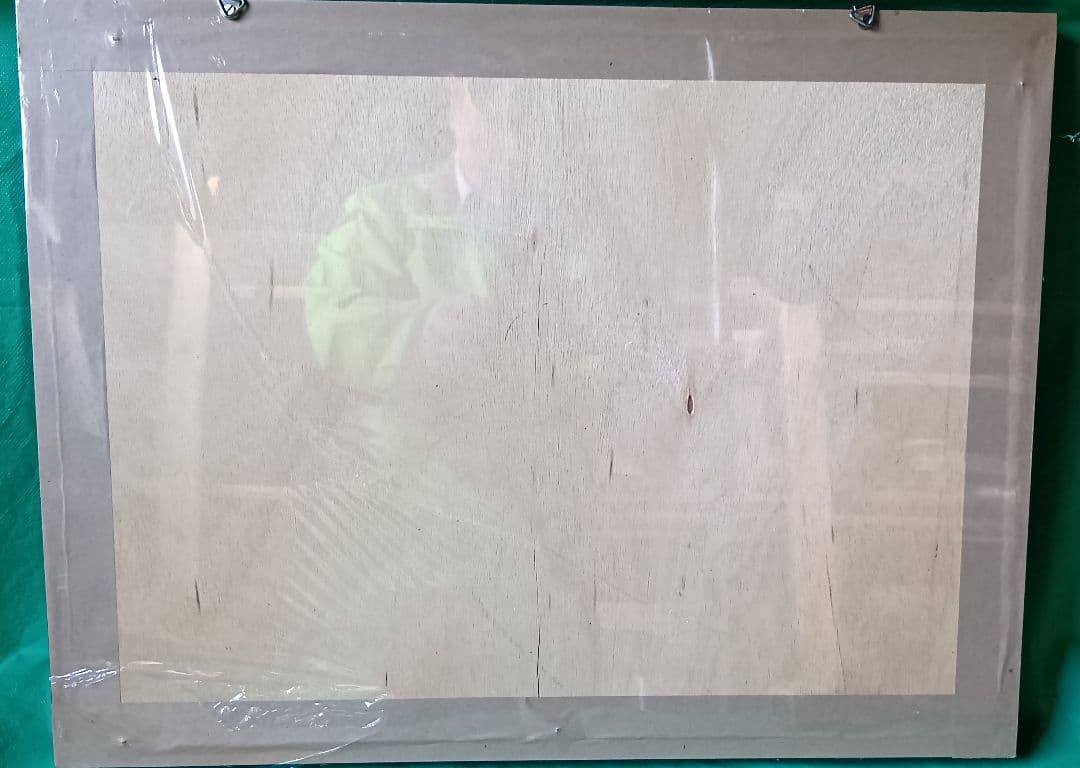 シンガポール 蝶標本 壁掛け用