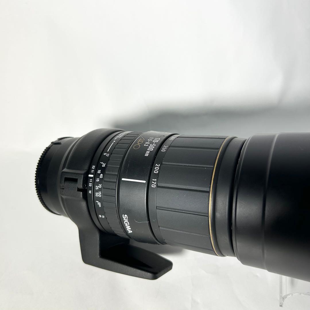 超望遠の世界へ！SIGMA APO 170-500mm F5-6.3 SONY用