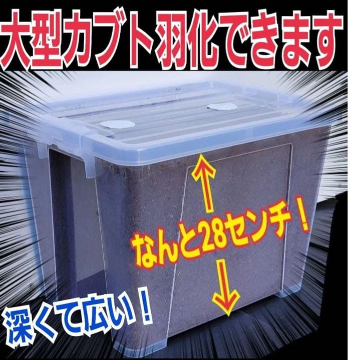 20Lケース付き【2セット】カブトムシ幼虫を入れるだけ！特選プレミアム発酵マット
