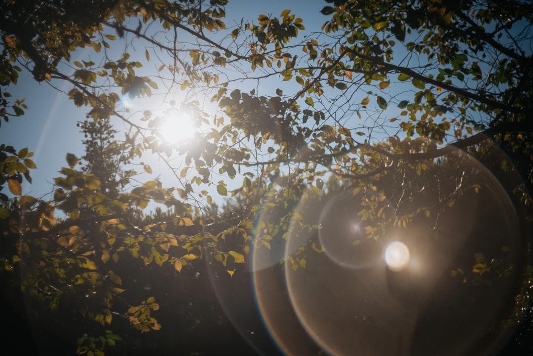 山崎ズマール！Leica Bluecoted Summar 50mm F2