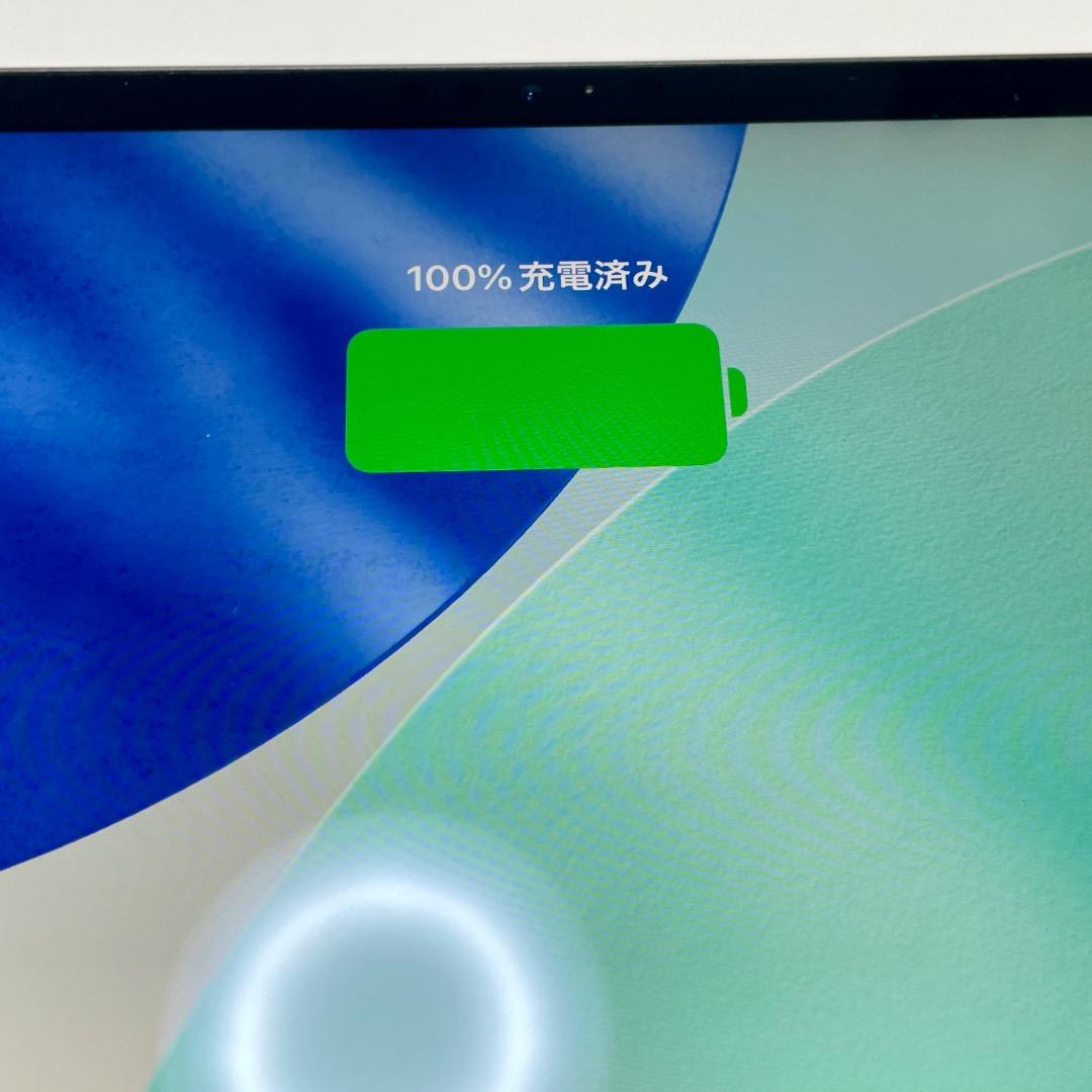 【✨美品✨】iPad Pro 11インチ 第1世代 64G 実動（訳あり）