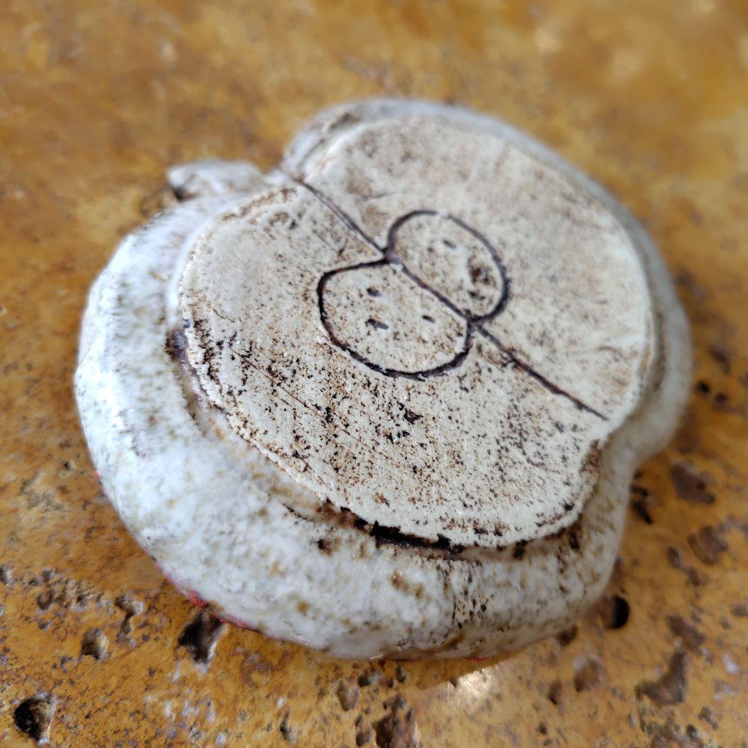 本田あつみ　フルーツ　りんご ２点