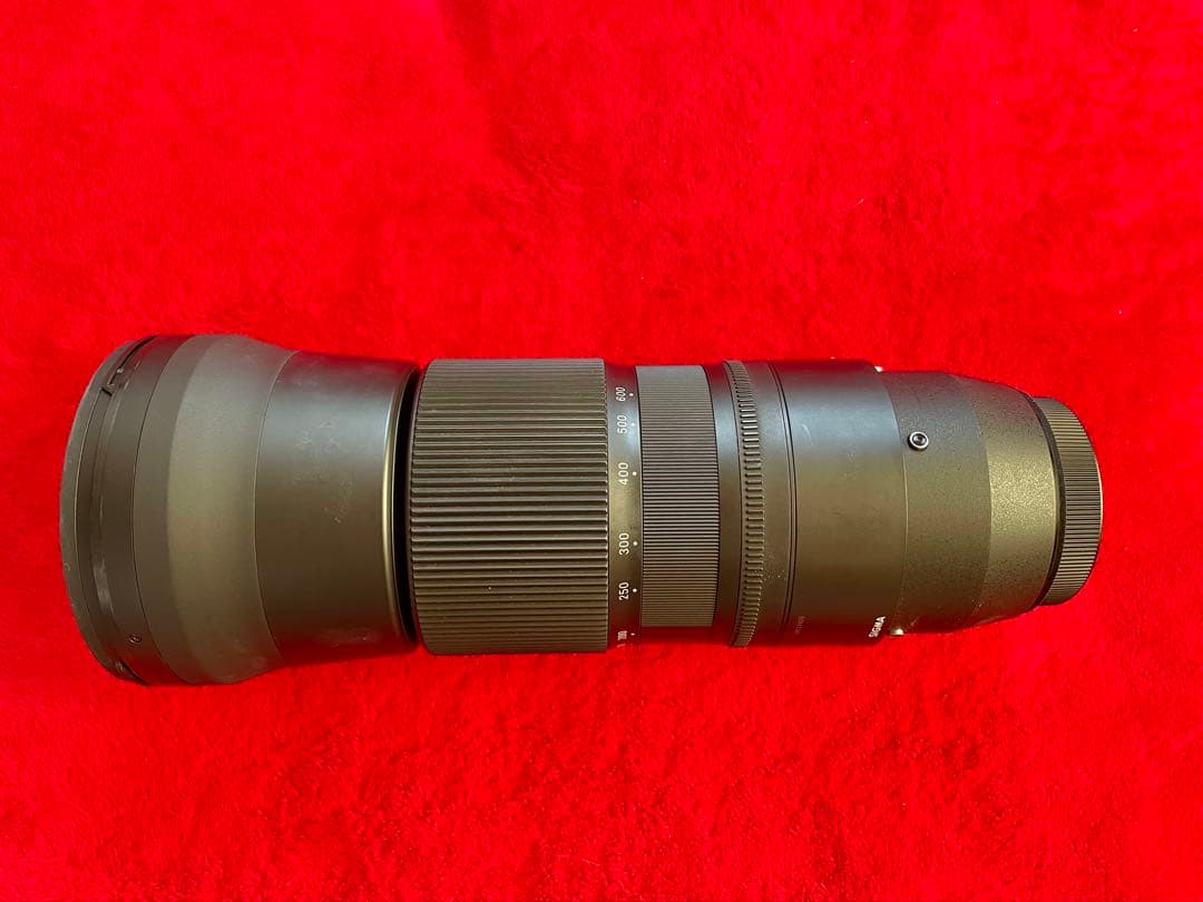 ラスト！SIGMA 150-600mm F5-6.3 DG OS HSM