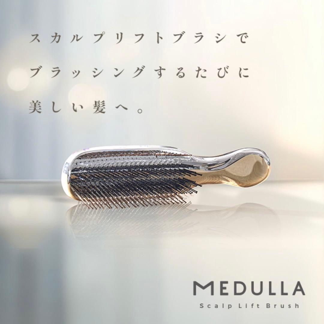 MEDULLA クリスマス限定特別セット　ソニックシャインプロ　超音波アイロン