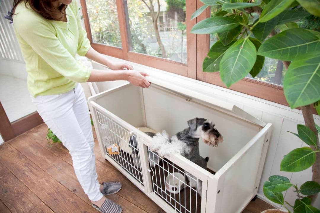 kiinus ペット ケージ ハウス AS120 オフホワイト