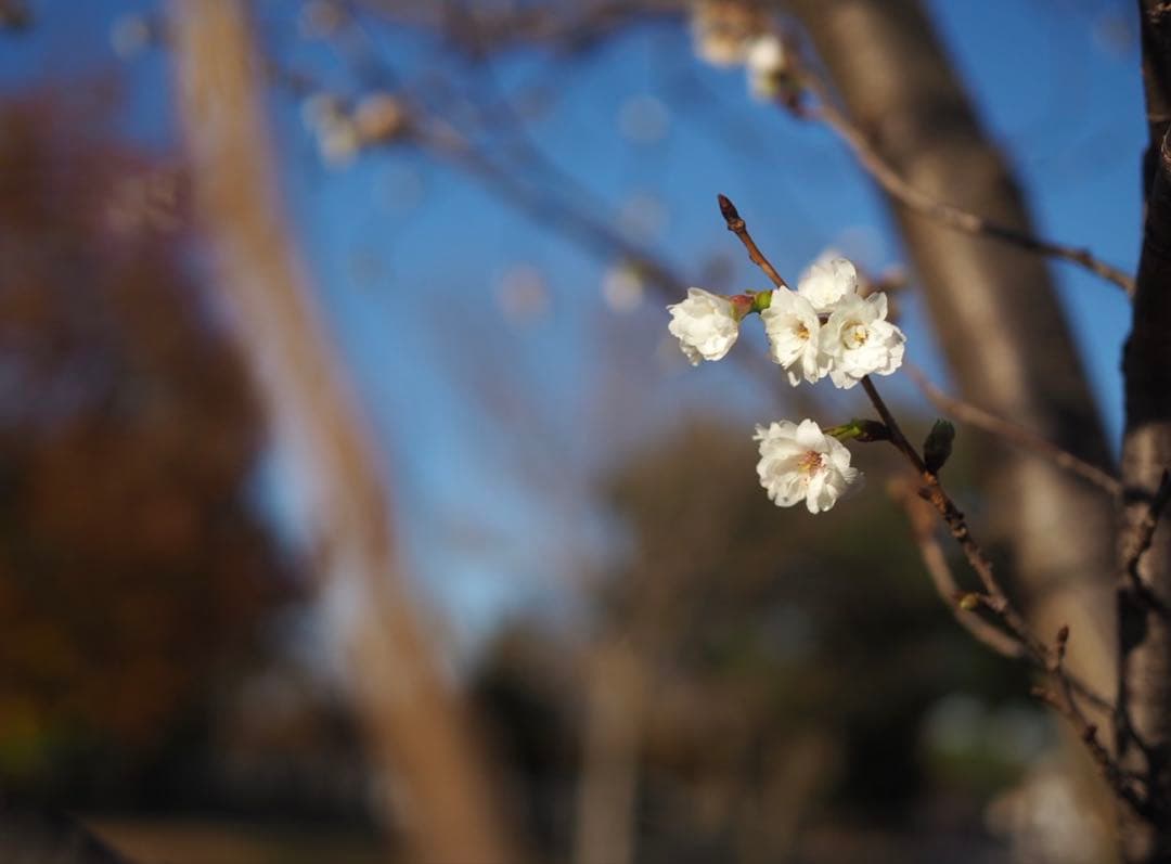 FUJIFILM X-M5レンズキットXC 15-45mm レンズ他付属品色々有