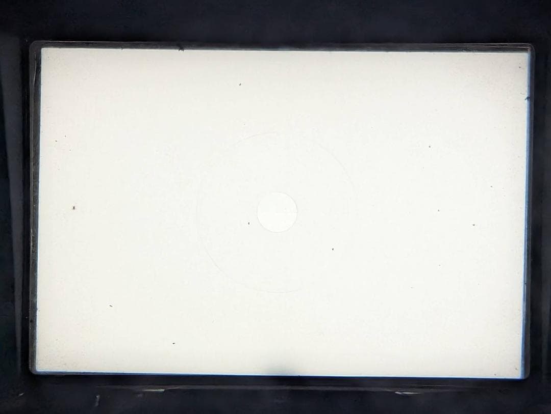 NIKON F2 フォトミック DP-1 フィルムカメラ 【動作確認済み】