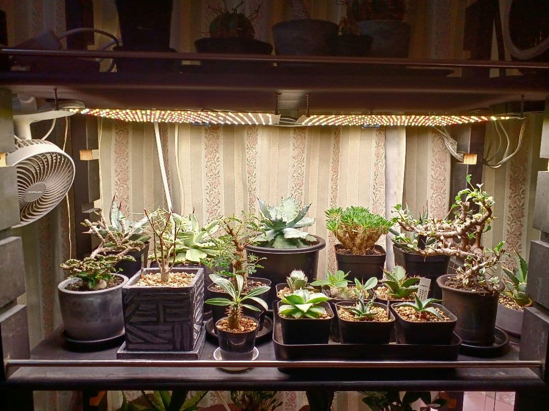 アイアンラック、棚　軽量