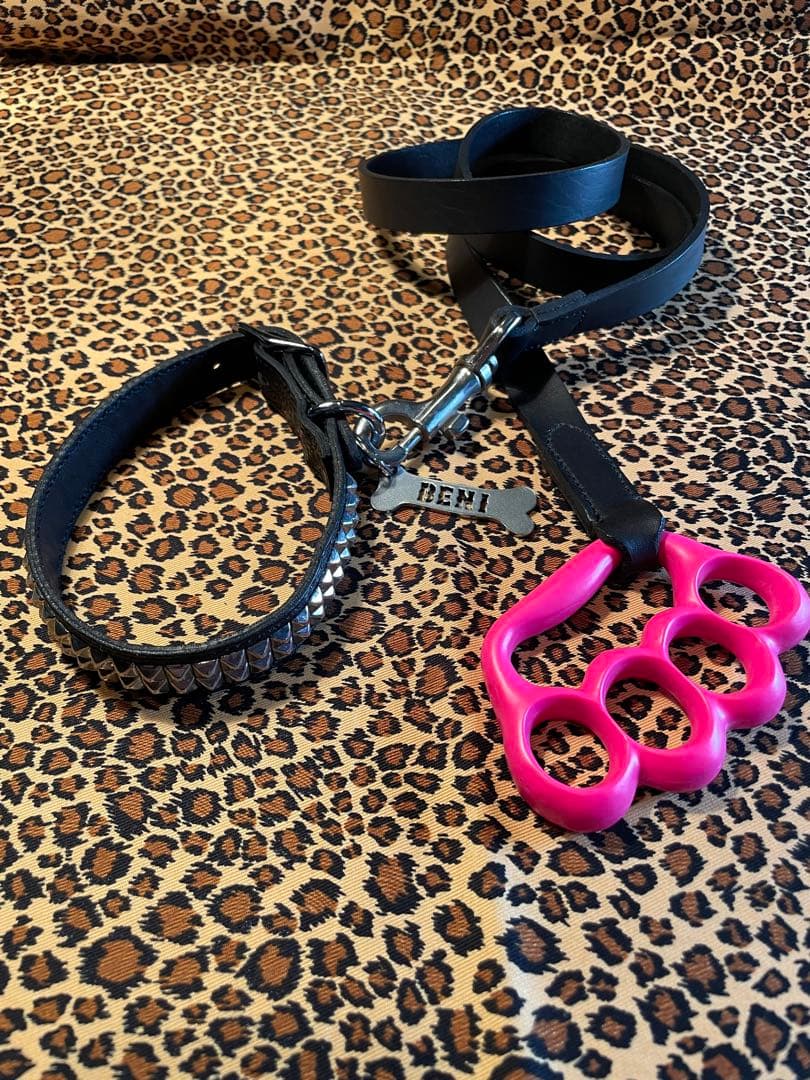 スタッズ　犬　首輪　小　ハーネス　本革