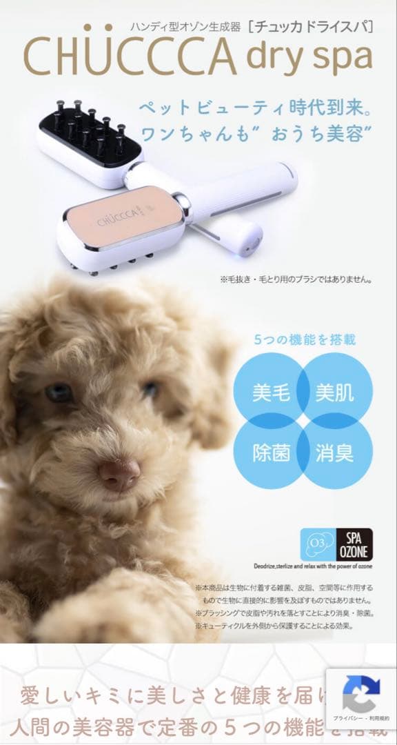 チュッカドライスパ　CHUCCCA dry spa