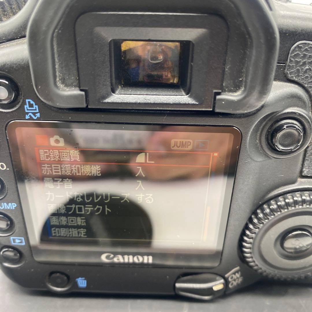 Canon EOS 30D レンズセット