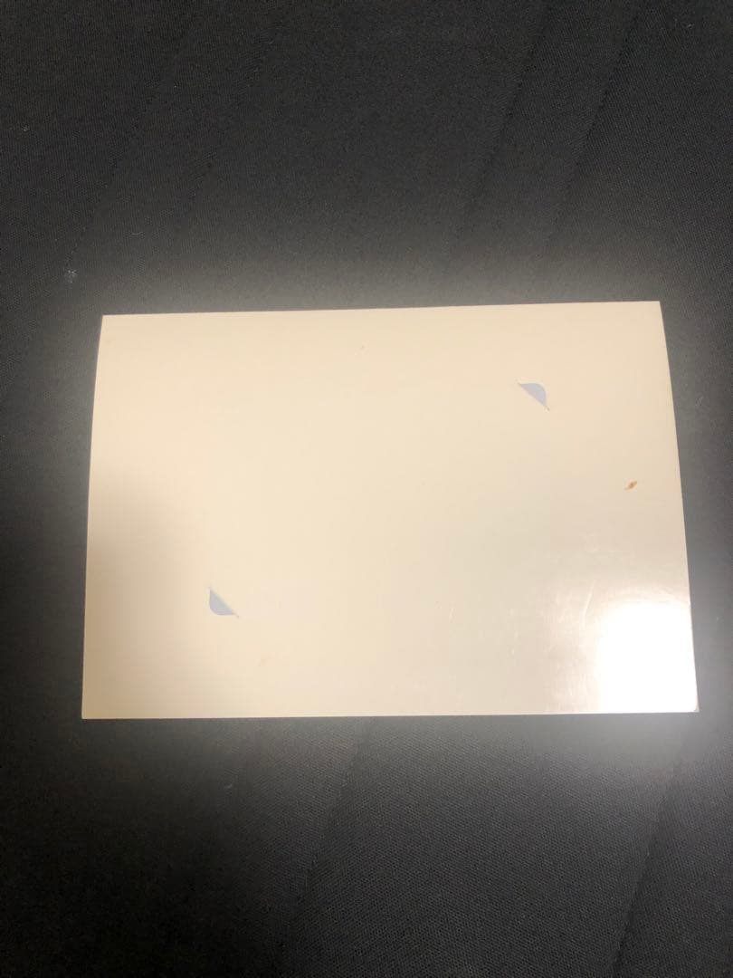 非売品　記念品　オグリローマン　桜花賞　激レア　関係者　オグリキャップ　妹