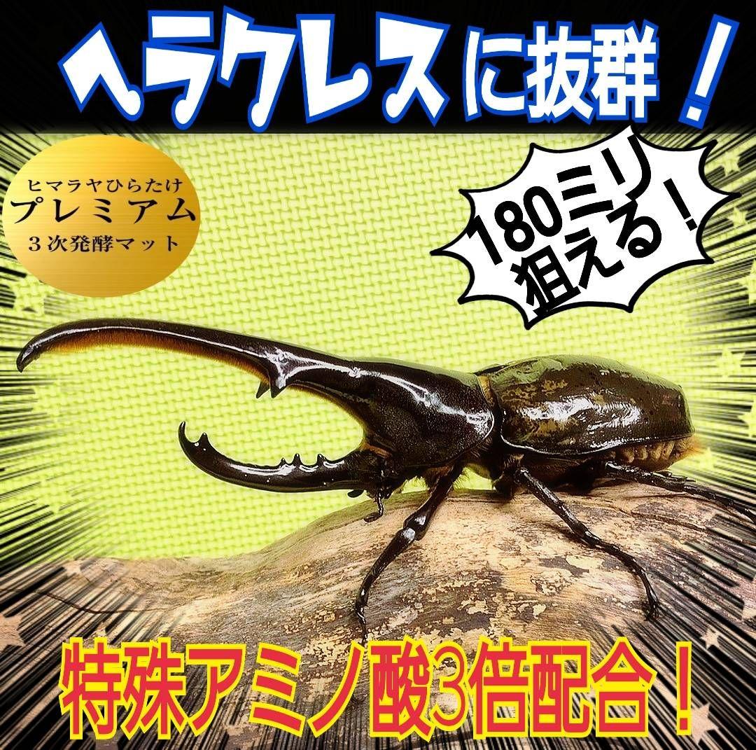 大量飼育に！たっぷり90リットル(9袋)　極上！プレミアム発酵ヘラクレスマット