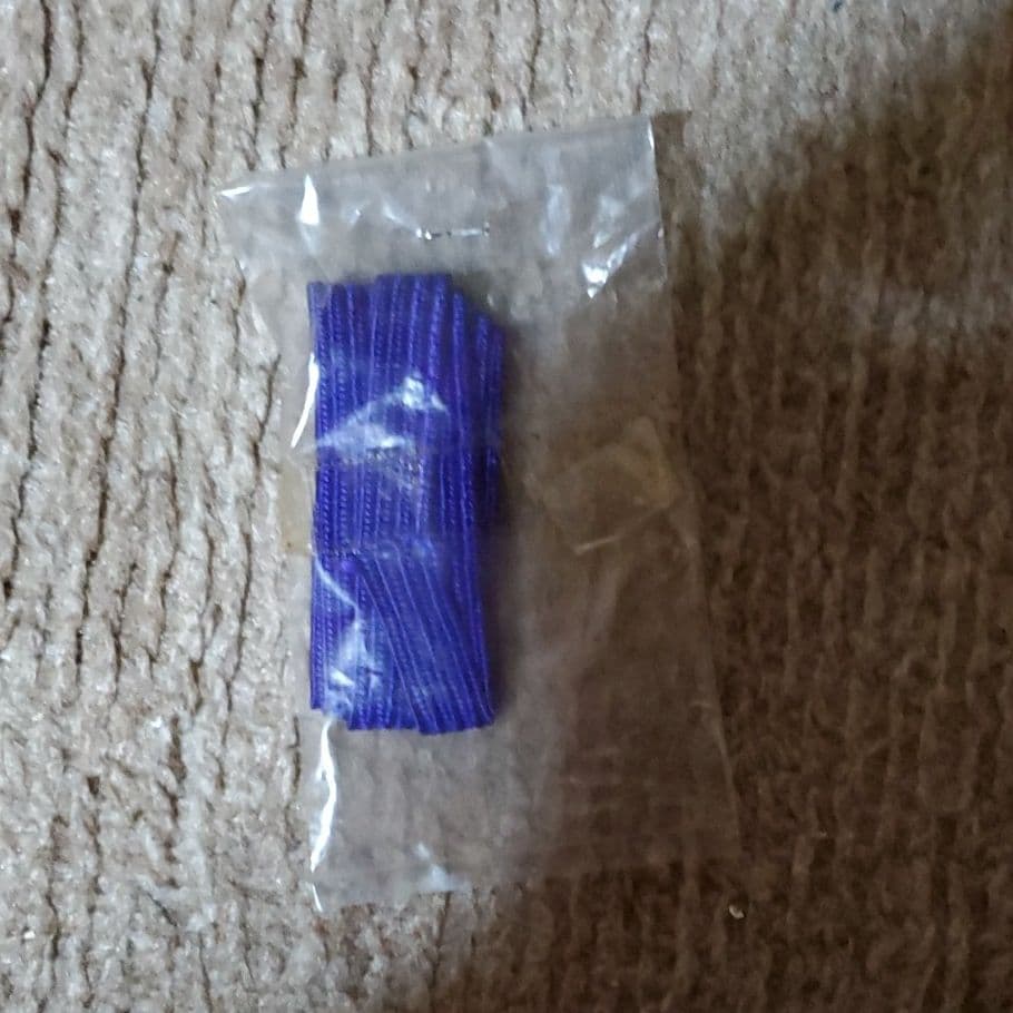 十二支金盃額