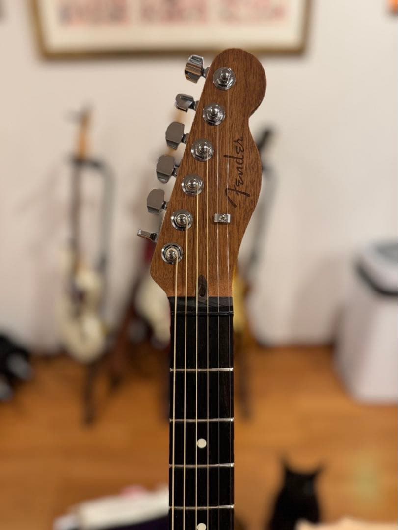 フェンダー　アメリカンアコースタソニック