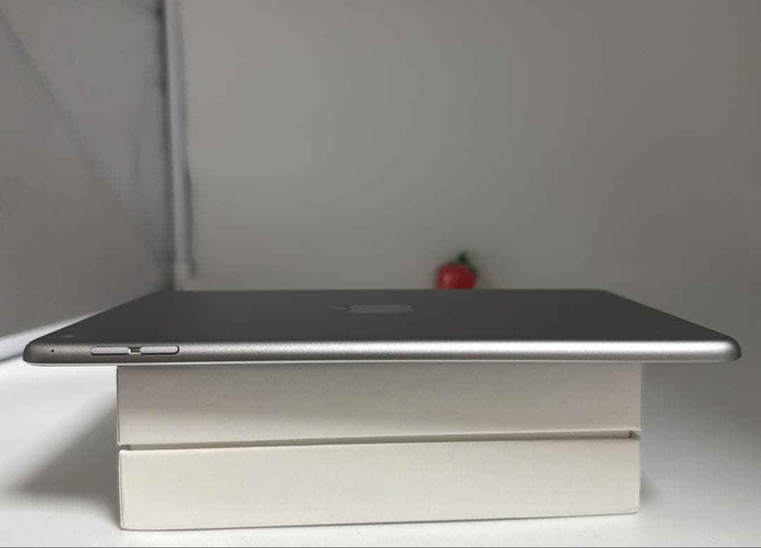 iPad Mini 第4世代　128GB バッテリー99%