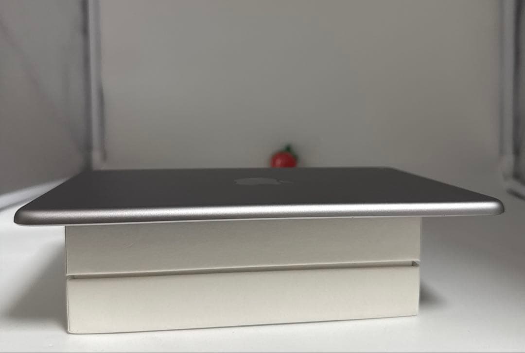 iPad Mini 第4世代　128GB バッテリー99%