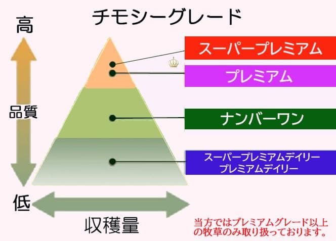 【3/16まで】 カナダ産 チモシー 50kg スーパープレミアム １番刈り