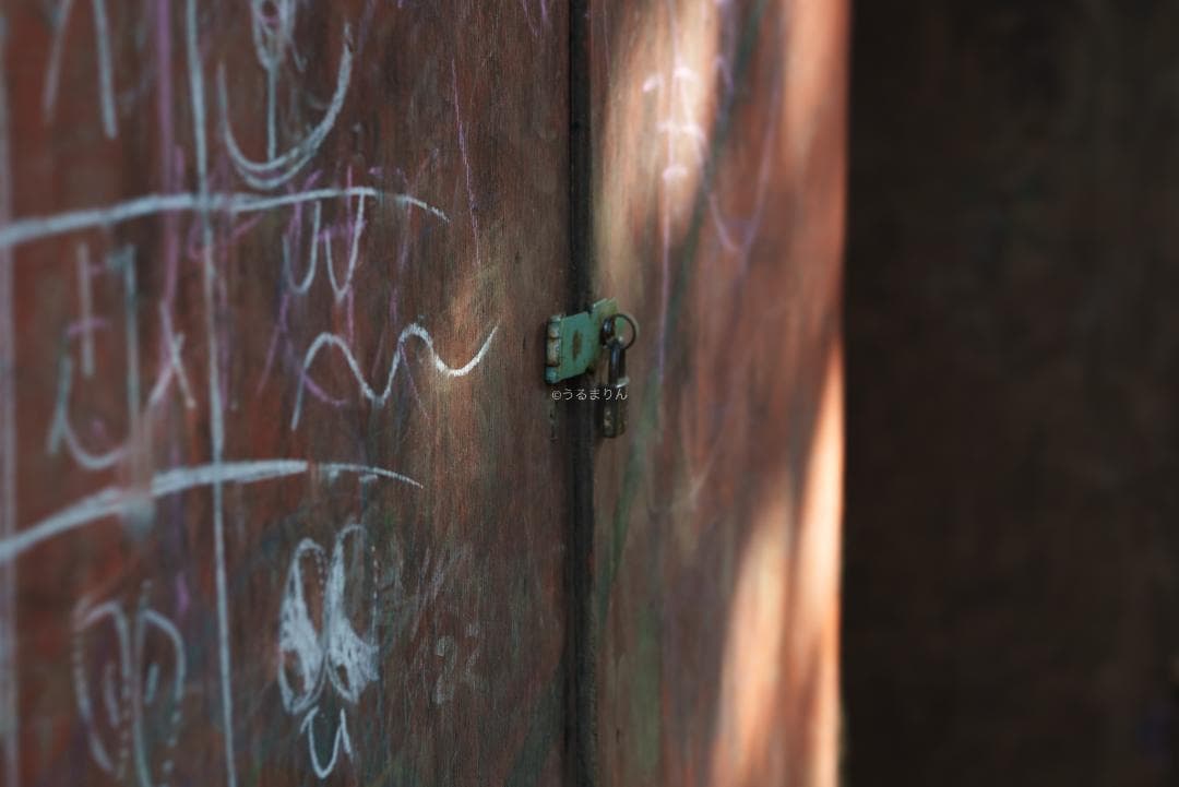 taishi様魔法のボケレンズ！SONY FE100mm F2.8 STF GM