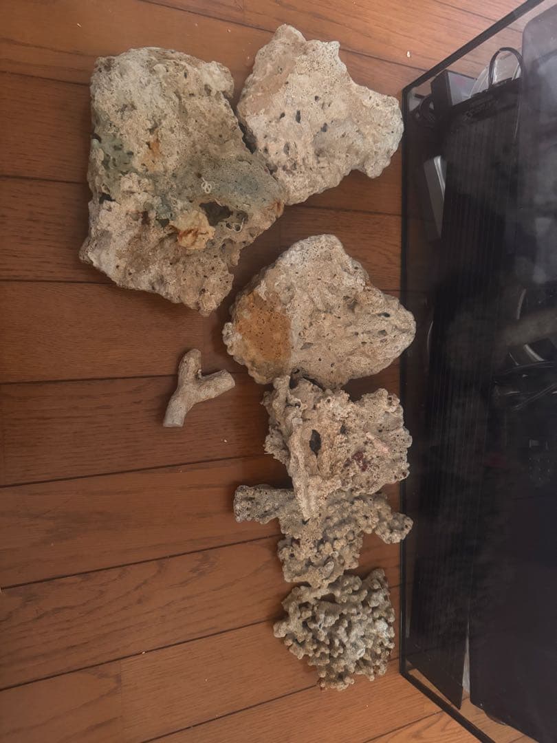 水槽 海水飼育セット　600×200×300 ライブロック付き
