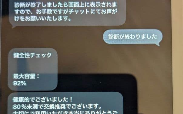 iPad Mini 第5世代 Wi-Fi Cellular 64GB