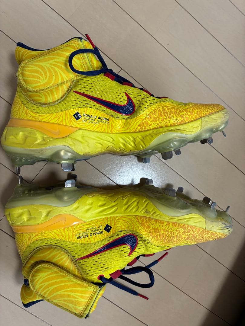 ナイキ 野球スパイク アクーニャJr.モデル 28㎝（USサイズ10）