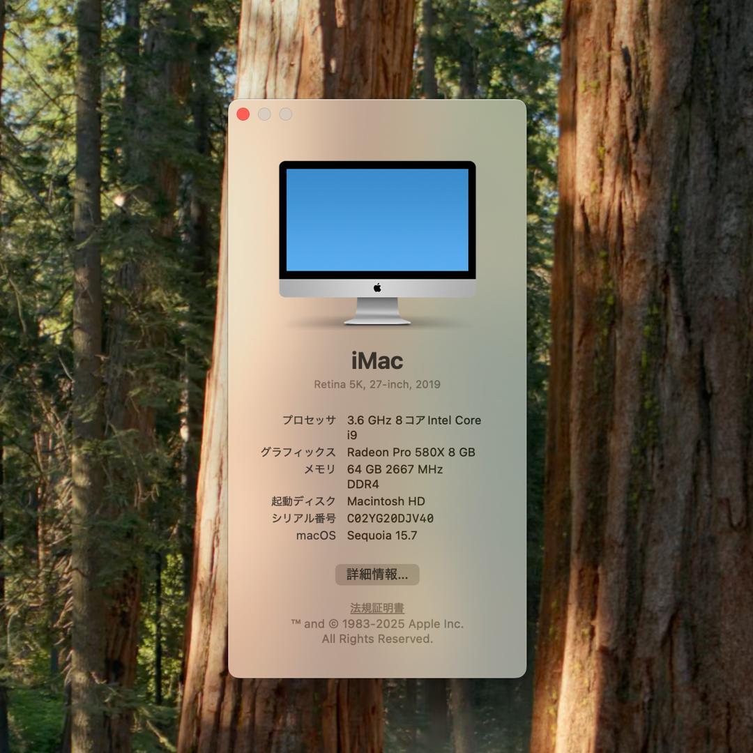 【美品】iMac2019 27inch i9 SSD合計2TB メモリ64GB