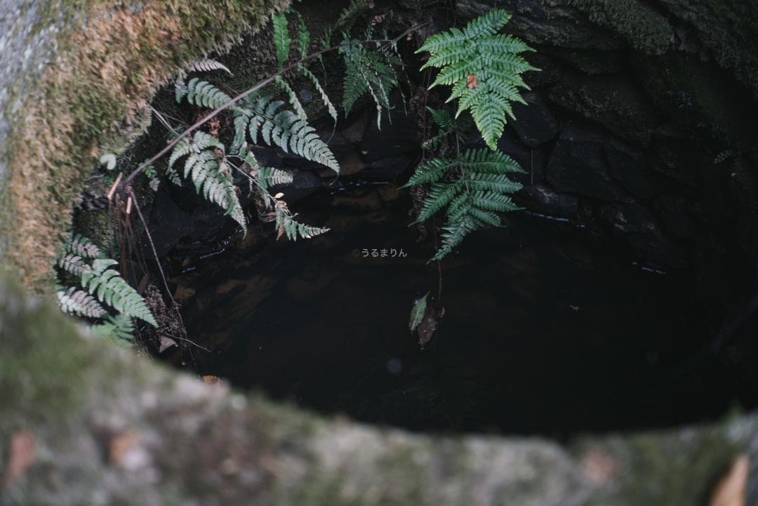 美品！赤エルマー！Red Scale Elmar 50mm オールドレンズ
