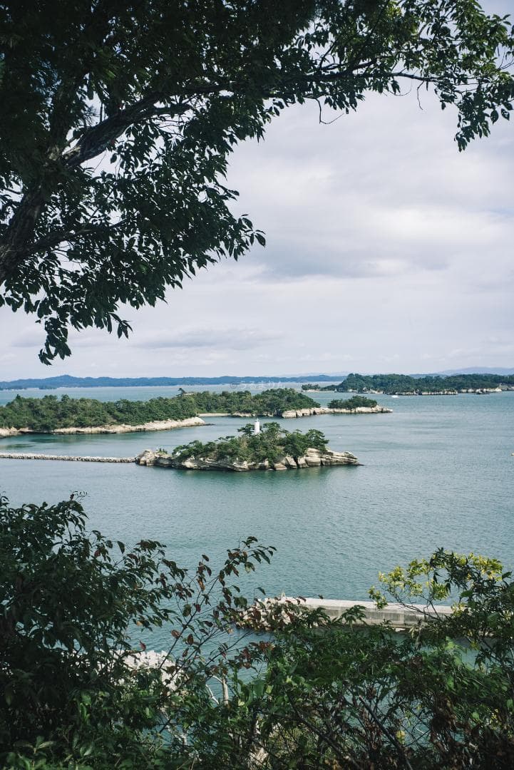 OH済！広角の鉄板 Leica Summaron 35mm オールドレンズ