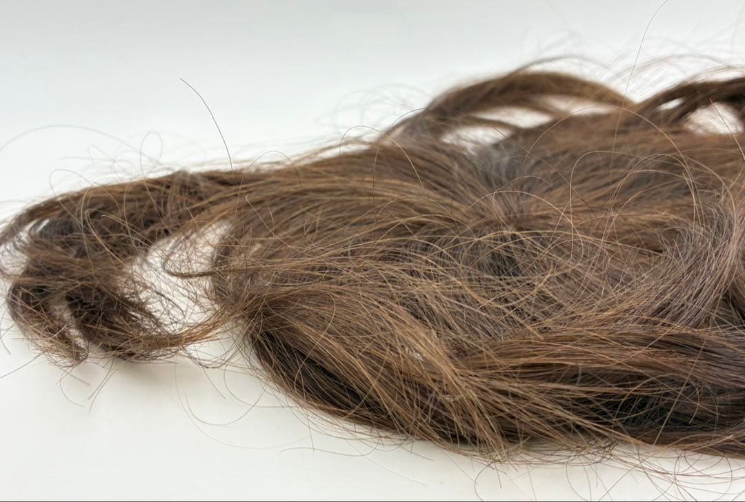 【美品】ジュリアオージェ クロスフリー ウィッグ チャ 人毛100％ 59558