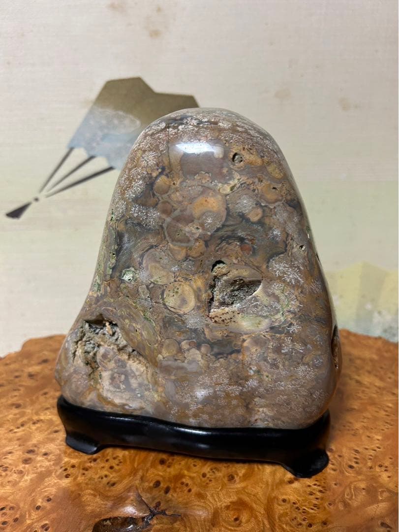 青森県　花紋石　花火　鑑賞石