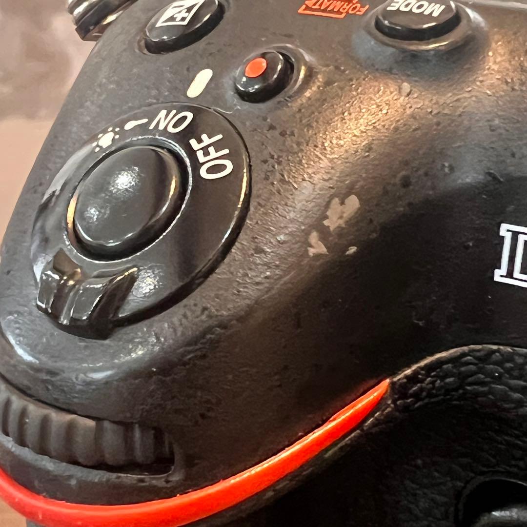 【ほととぎす】Nikon D4 フラッグシップデジタル一眼レフカメラ