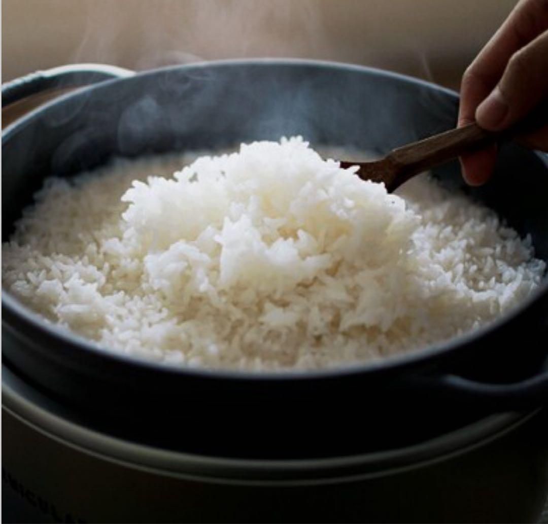 バーミキュラ ライスポットミニ（ソリッドシルバー）　※新品・未使用