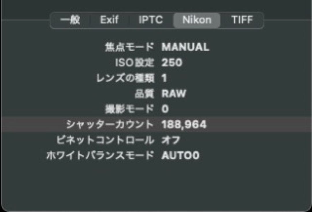Nikon Z6 中古