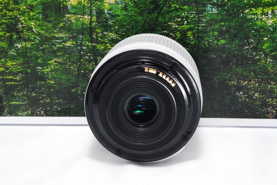 【美品】Canon EOS Kiss X7 ホワイト デジタル一眼カメラ