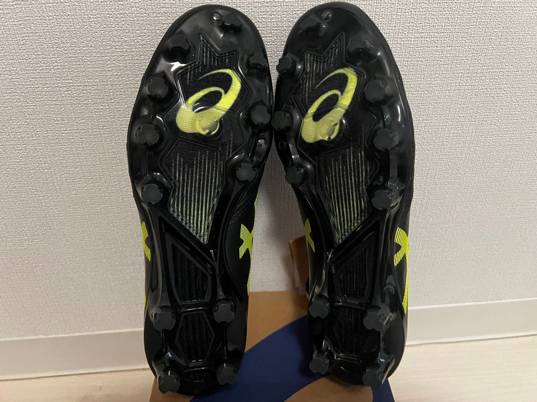 シューズ DS LIGHT X-FLY PRO