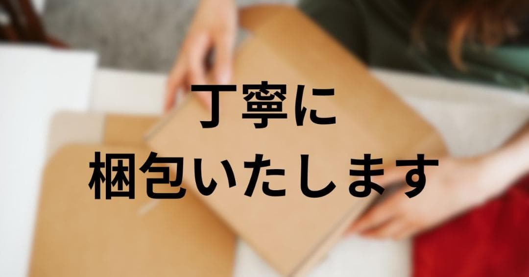 TP-Link tapo 屋外カメラ WiFi ネットワークカメラ 無線/有rm
