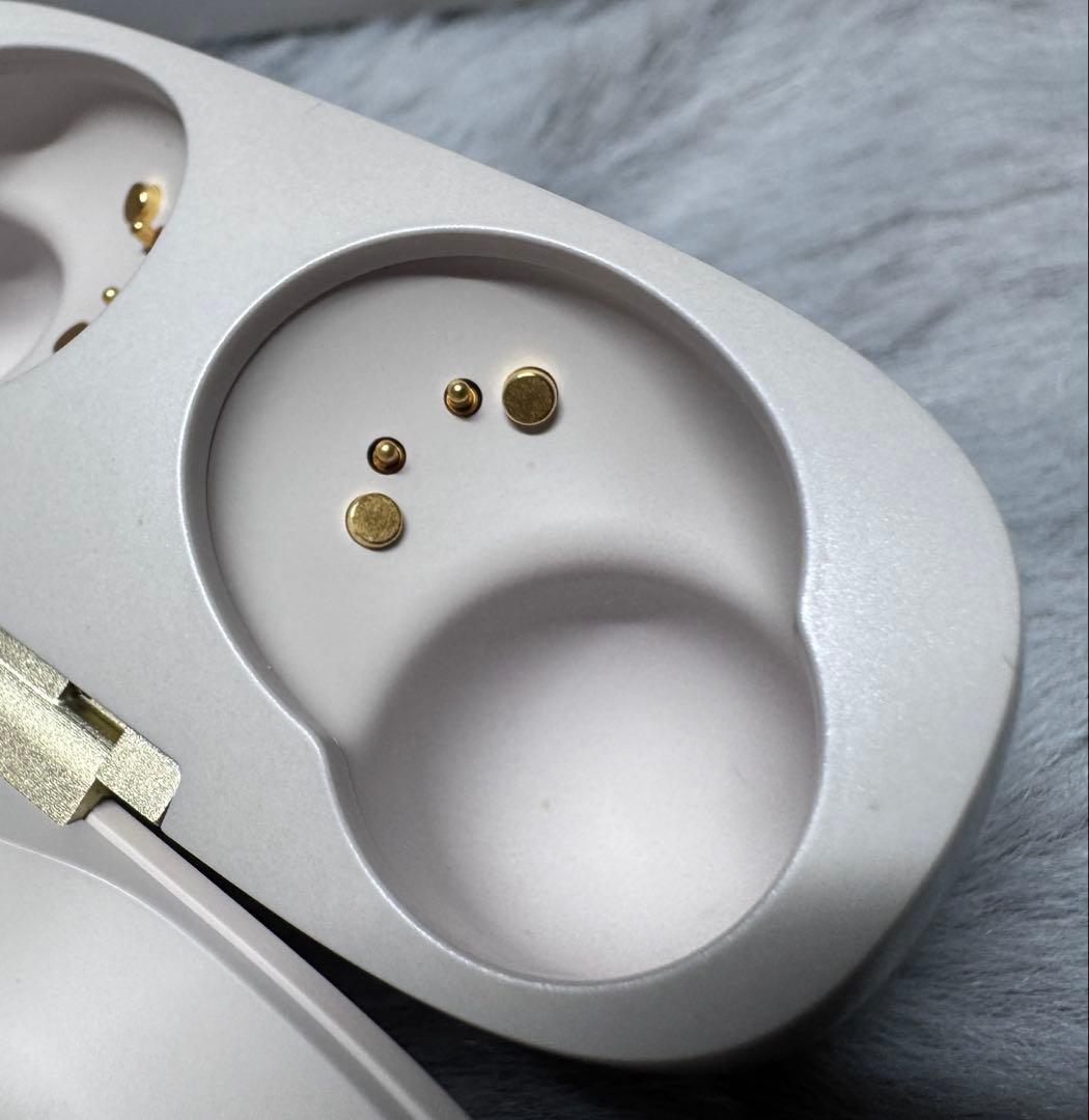 【美品】Bowers & Wilkins Pi8 DW／radius イヤピ付き