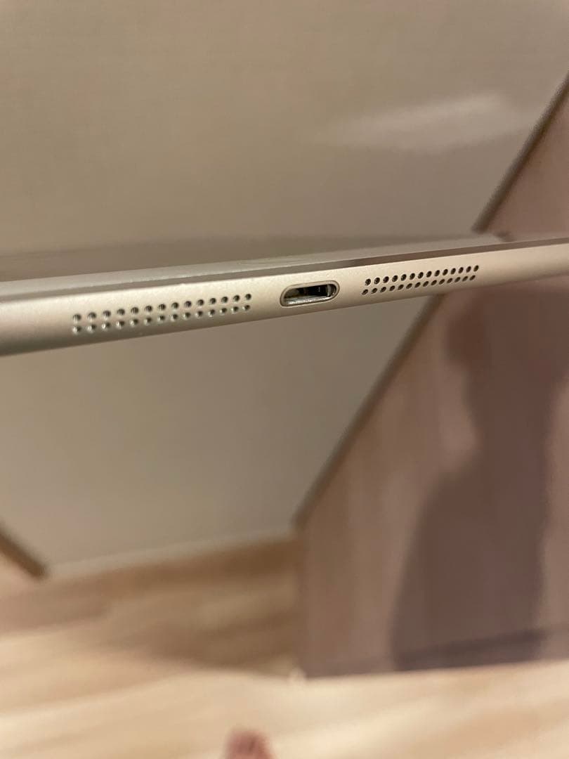 Apple iPad mini4本体