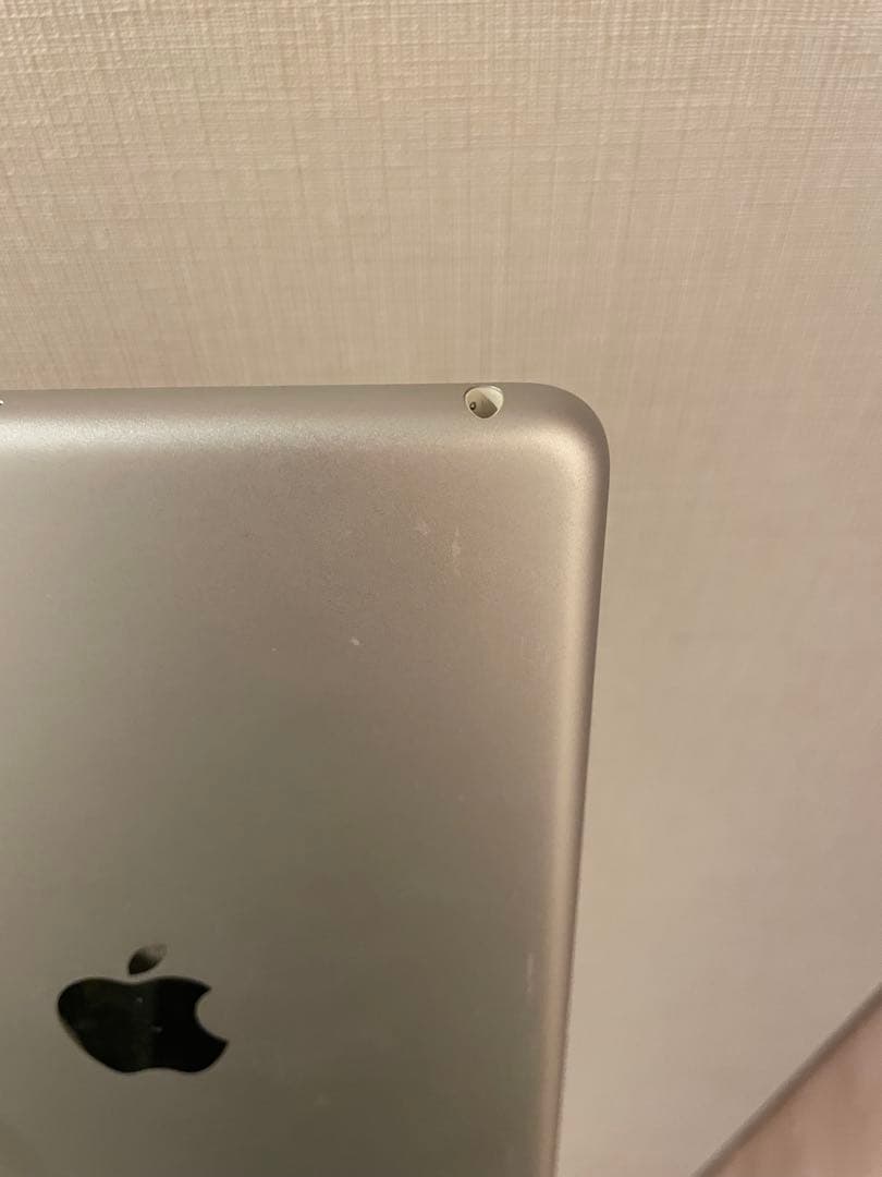 Apple iPad mini4本体