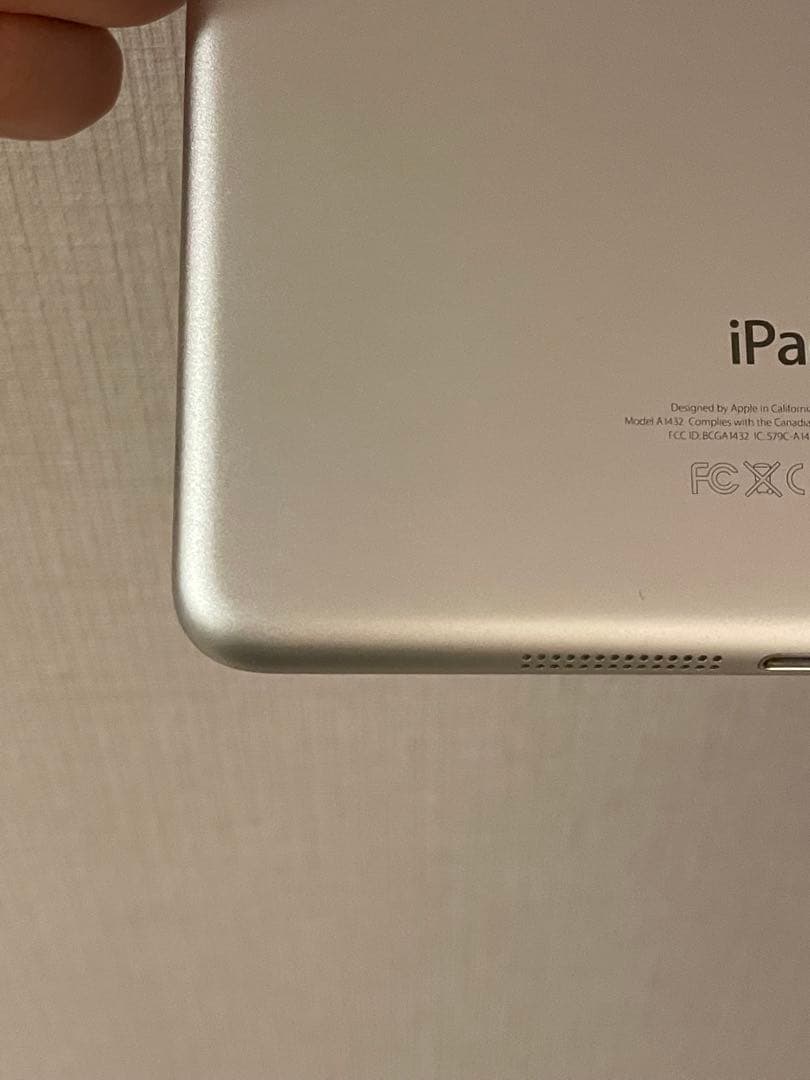 Apple iPad mini4本体