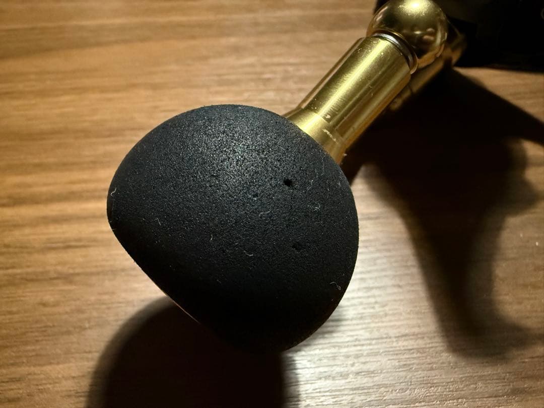 ダイワ 23BG SW 10000-H