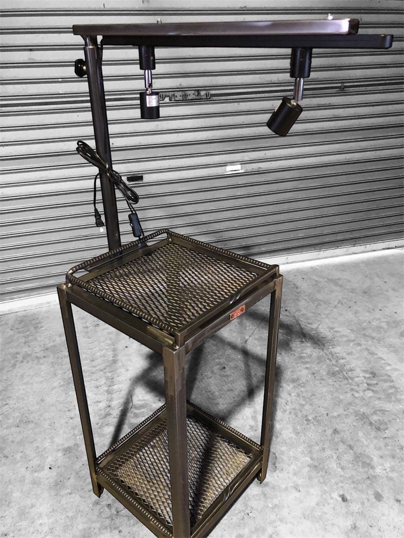 魅せる　アガベ育成棚