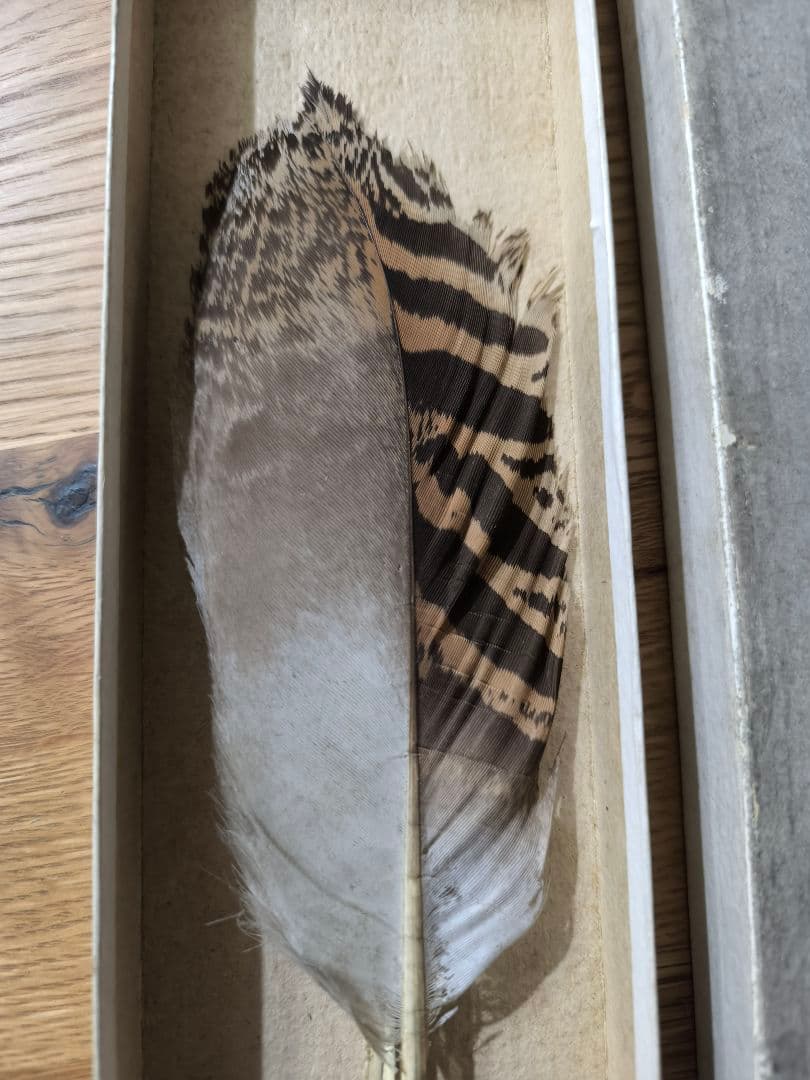 ​茶道具 羽帚（はぼうき） 三ツ羽 天然羽 箱入り羽箒