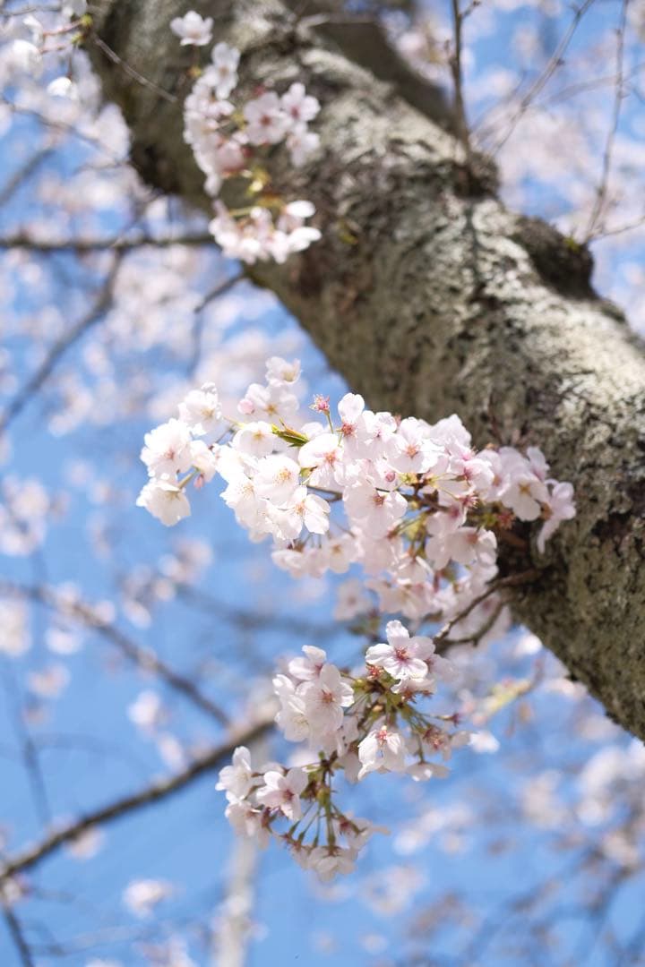 レンズ(単焦点) XF35mmF2 R WR